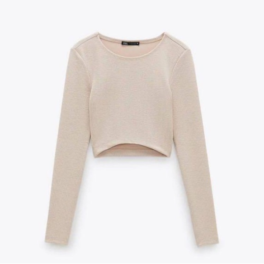 Zara Top